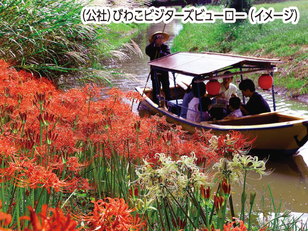 近江八幡水郷巡りと松茸ごはん(2024)