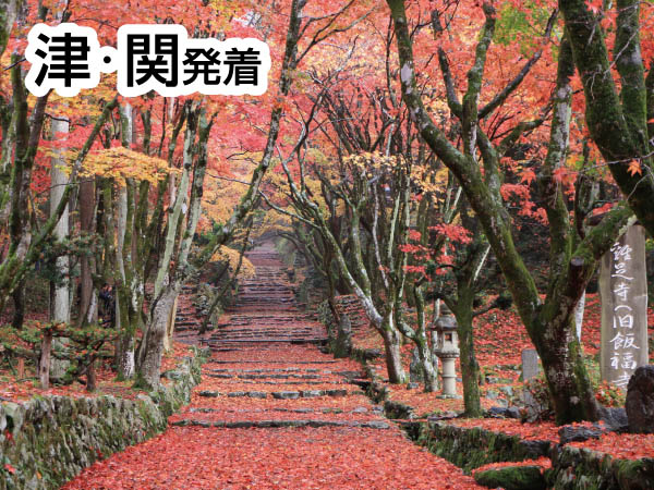 紅葉の鶏足寺とずわい蟹会席(2024)