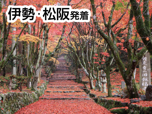 紅葉の鶏足寺とずわい蟹会席(2024)