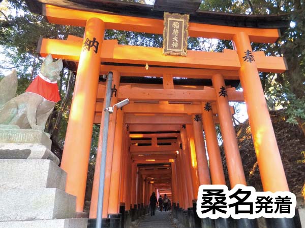 伏見稲荷と京都国立博物館(2024)