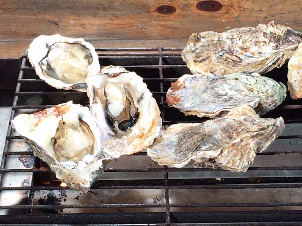 鳥羽浦村カキ食べ放題と伊勢神宮(2024)