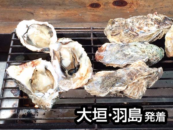 鳥羽浦村カキ食べ放題と伊勢神宮(2024)