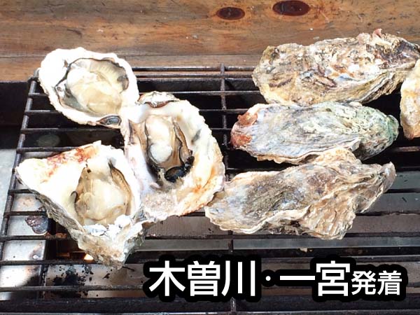 鳥羽浦村カキ食べ放題と伊勢神宮(2024)