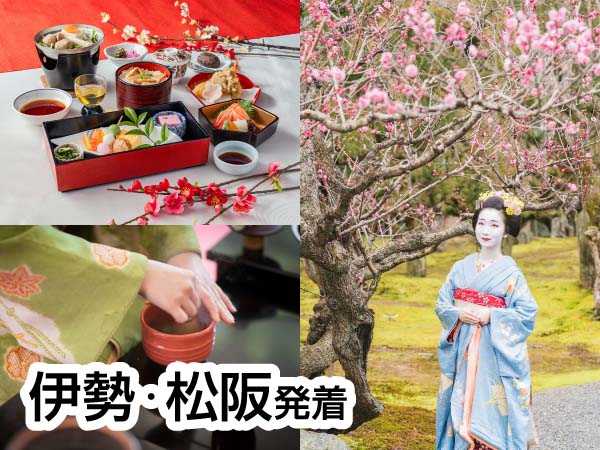ワイドバスで行く「梅見の宴」(2024)