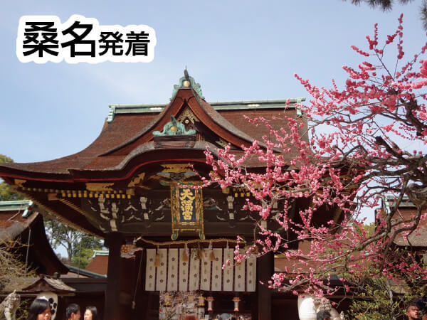 京都 北野天満宮・平野神社・南禅寺(2025)