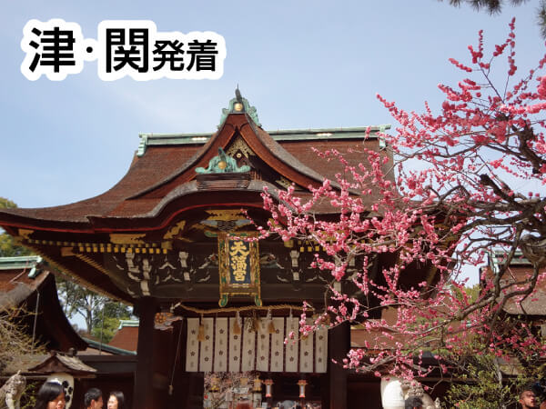 京都 北野天満宮・平野神社・南禅寺(2025)