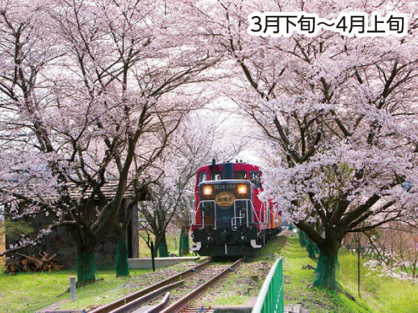 嵯峨野トロッコ列車と嵐山(2025)