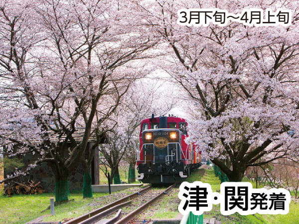嵯峨野トロッコ列車と嵐山(2025)