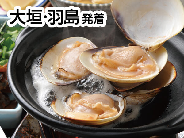 桑名名物焼きはまぐりといなべ梅まつり(25)