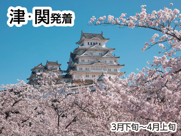 世界遺産 姫路城(2025)