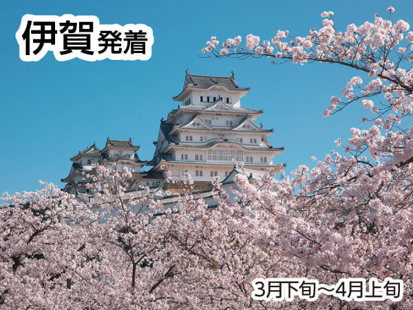 世界遺産 姫路城(2025)
