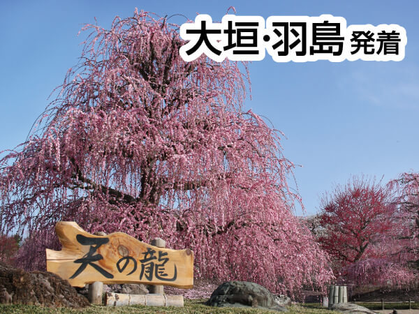 鈴鹿の森庭園「しだれ梅まつり」(2025)
