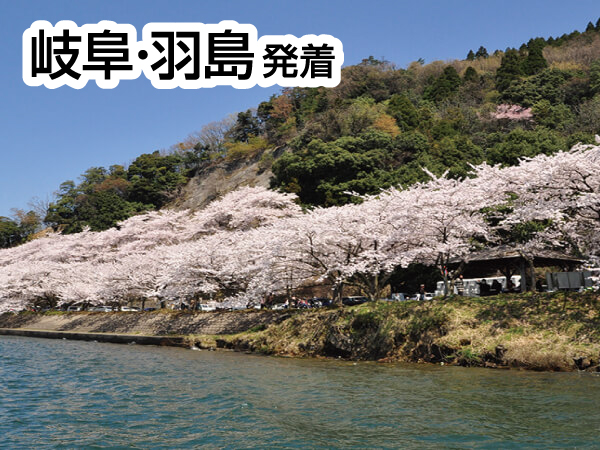 海津大崎お花見クルーズ(2025)