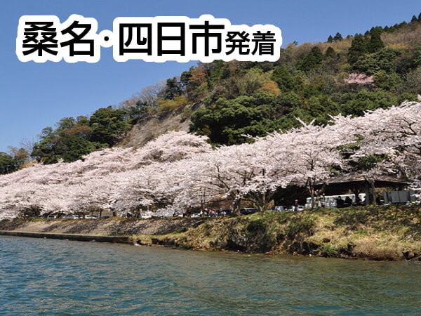 海津大崎お花見クルーズ(2025)