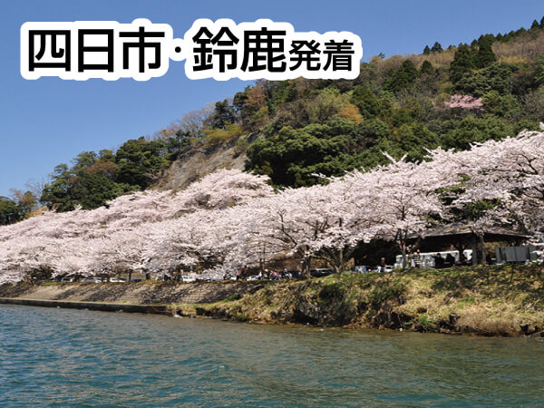 海津大崎お花見クルーズ(2025)
