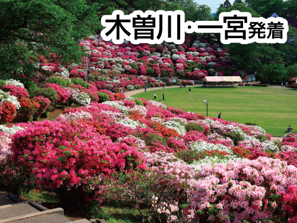 永平寺とつつじ公園(2025)