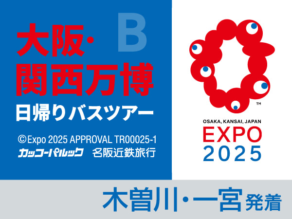 大阪・関西万博【B】 約4時 午後から夜