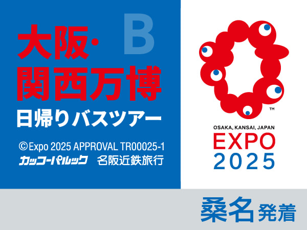 大阪・関西万博【B】 約4時 午後から夜
