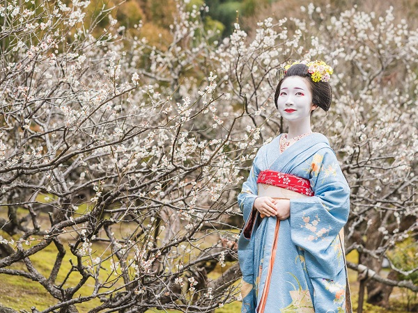 ワイドバスで行く「梅見の宴」(2025)