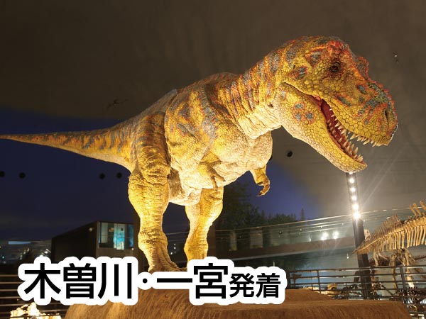 福井県立恐竜博物館とそば打ち体験(2025)