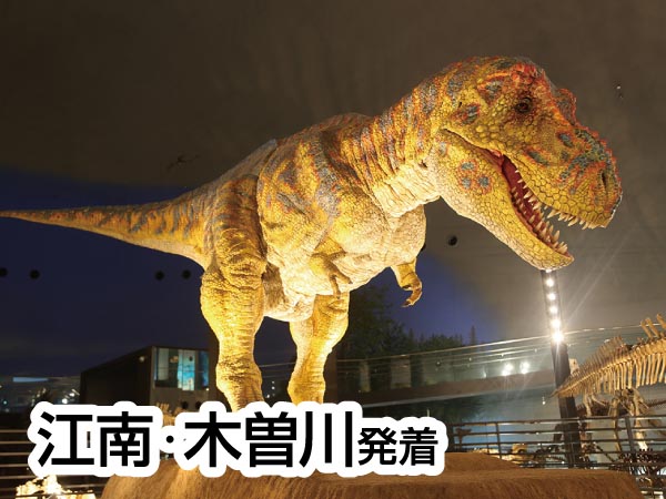 福井県立恐竜博物館とそば打ち体験(2025)