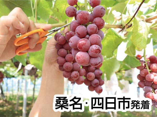 彦根旅 国産鰻重ランチ&ぶどう狩り(2025)