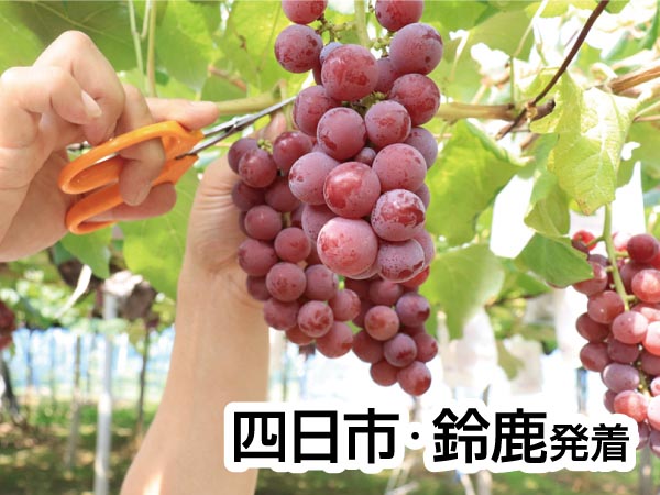 彦根旅 国産鰻重ランチ&ぶどう狩り(2025)