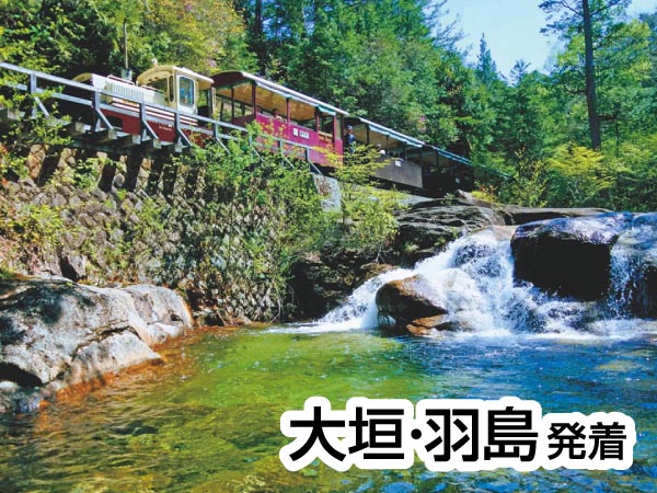 赤沢自然休養林トロッコとちこり村バイキング(2025