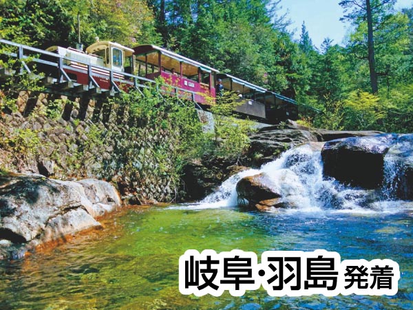 赤沢自然休養林トロッコとちこり村バイキング(2025