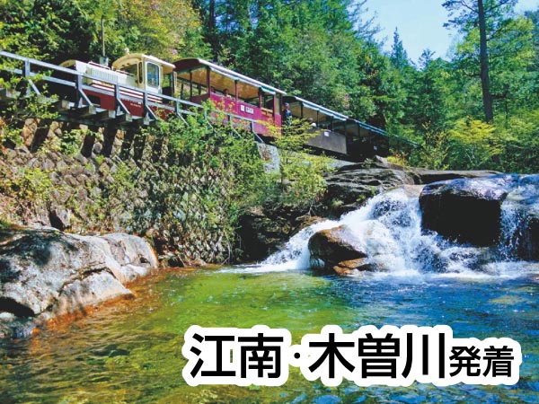 赤沢自然休養林トロッコとちこり村バイキング(2025