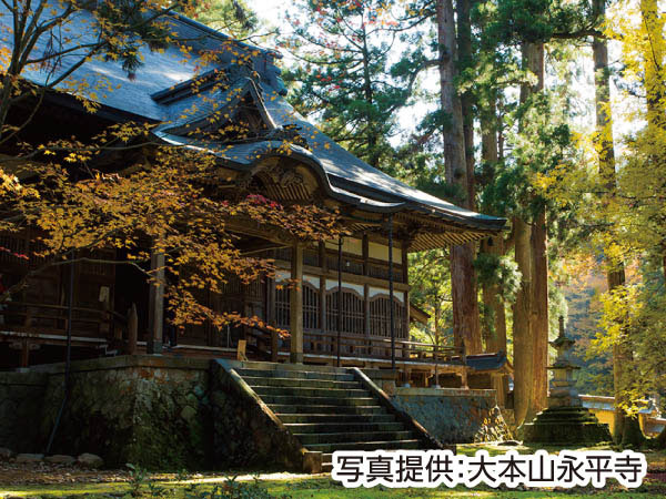 大本山永平寺と平泉寺白山神社(2025)