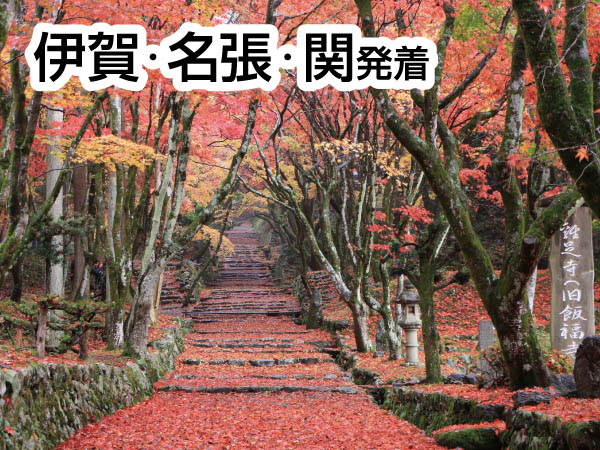 鶏足寺とすし慶げんさん(2025)