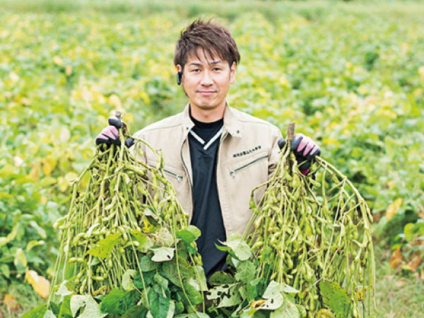 丹波黒豆枝豆狩り(2025)