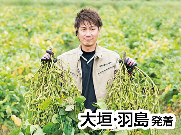 丹波黒豆枝豆狩り(2025)