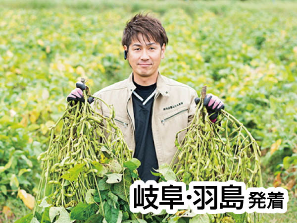 丹波黒豆枝豆狩り(2025)