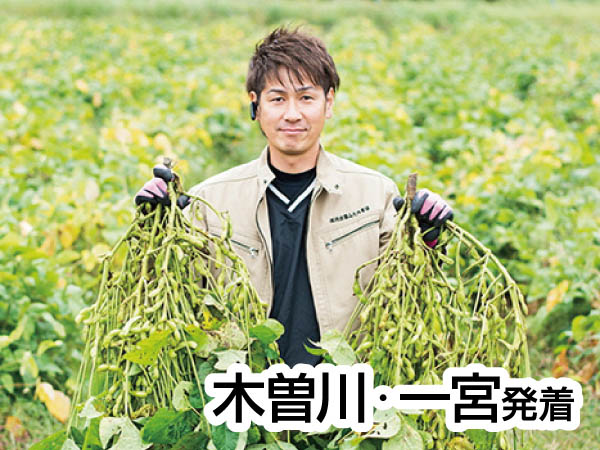 丹波黒豆枝豆狩り(2025)