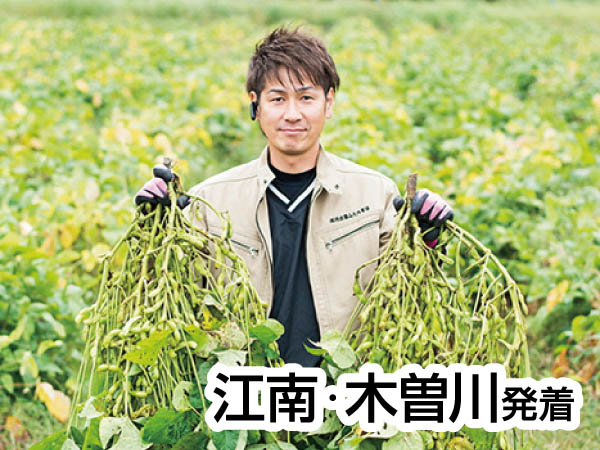 丹波黒豆枝豆狩り(2025)