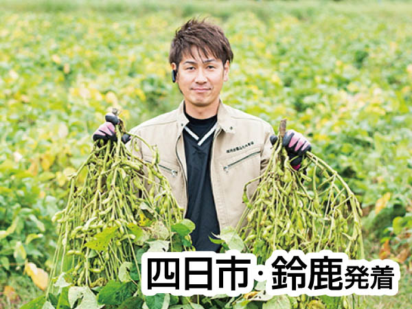 丹波黒豆枝豆狩り(2025)