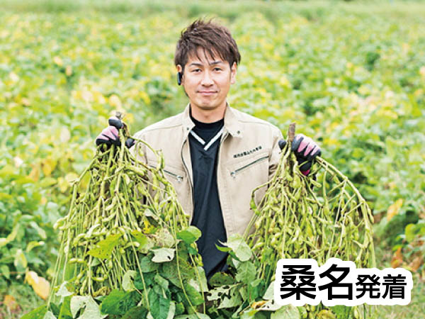 丹波黒豆枝豆狩り(2025)