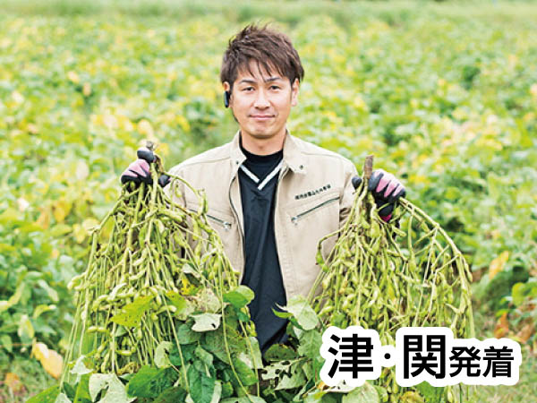 丹波黒豆枝豆狩り(2025)