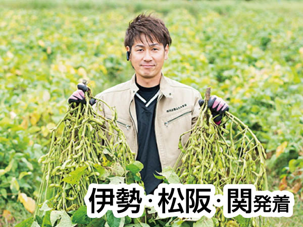 丹波黒豆枝豆狩り(2025)