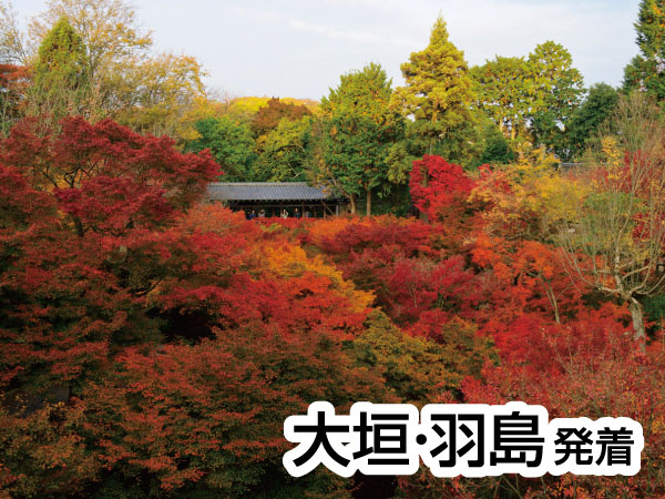 京都・渓山閣　松茸会席(2025)