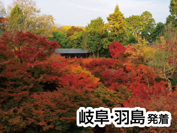 京都・渓山閣　松茸会席(2025)