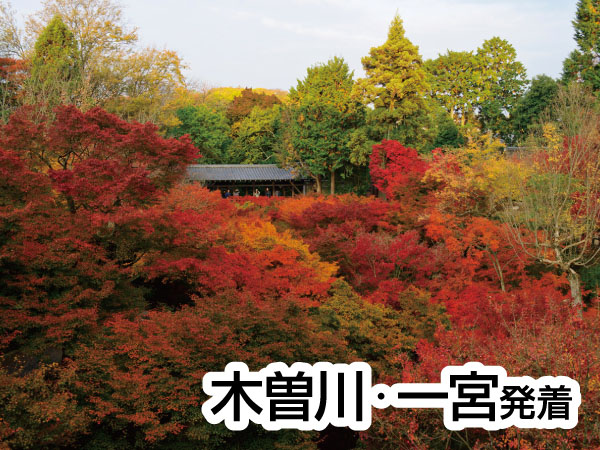 京都・渓山閣　松茸会席(2025)