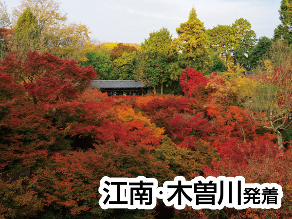 京都・渓山閣　松茸会席(2025)