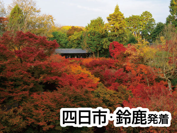 京都・渓山閣　松茸会席(2025)