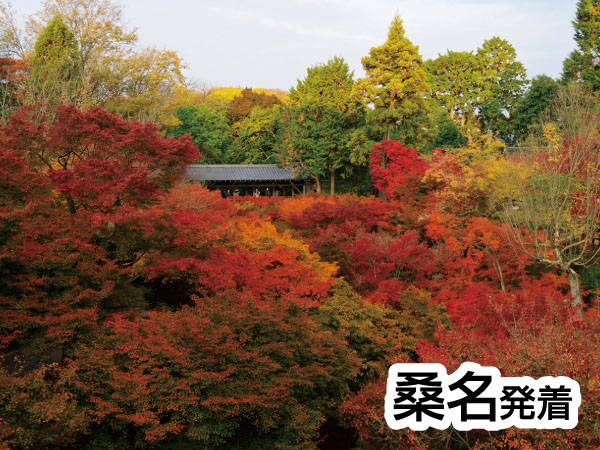 京都・渓山閣　松茸会席(2025)