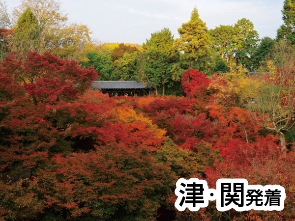 京都・渓山閣　松茸会席(2025)
