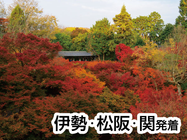 京都・渓山閣　松茸会席(2025)
