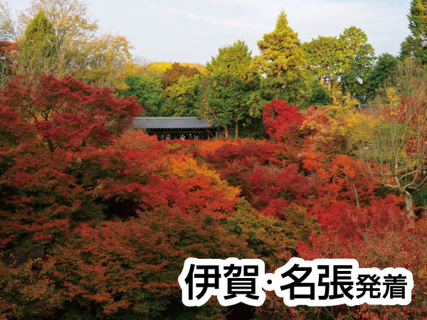 京都・渓山閣　松茸会席(2025)